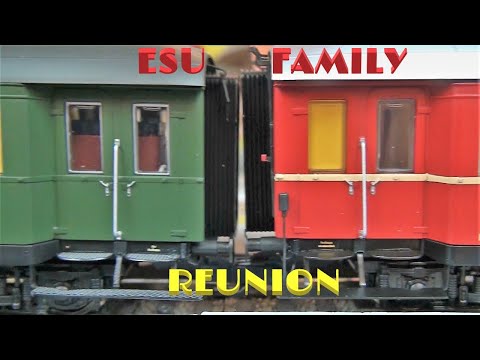 🇩🇪 Decoder ESU H0 36040 WGye831 Chromoxidgrün, PULLMAN 36150 SCHLAFWAGEN DB 3 KLASSE ROT