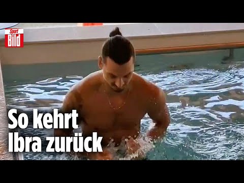 Fans feiern emotionales Ibrahimovic-Video | Viral daneben