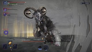 【ELDEN RING NIGHTREIGN】今までで一番悔しかった１戦【深度5常夜リブラ】