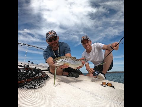 Le leurre à avoir dans sa boite Sandeel Pencil Savage Gear