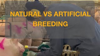 WHICH ONE IS BETTER?