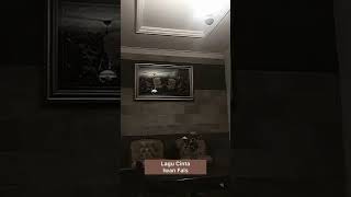 Download lagu story'wa // Lagu Cinta Iwan Fals // #storywa #vidioshort mp3