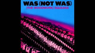 Music video thumbnail preview for Was (Not Was) - Out Come The Freaks (Predominantly Funk Version) by Was (Not Was)