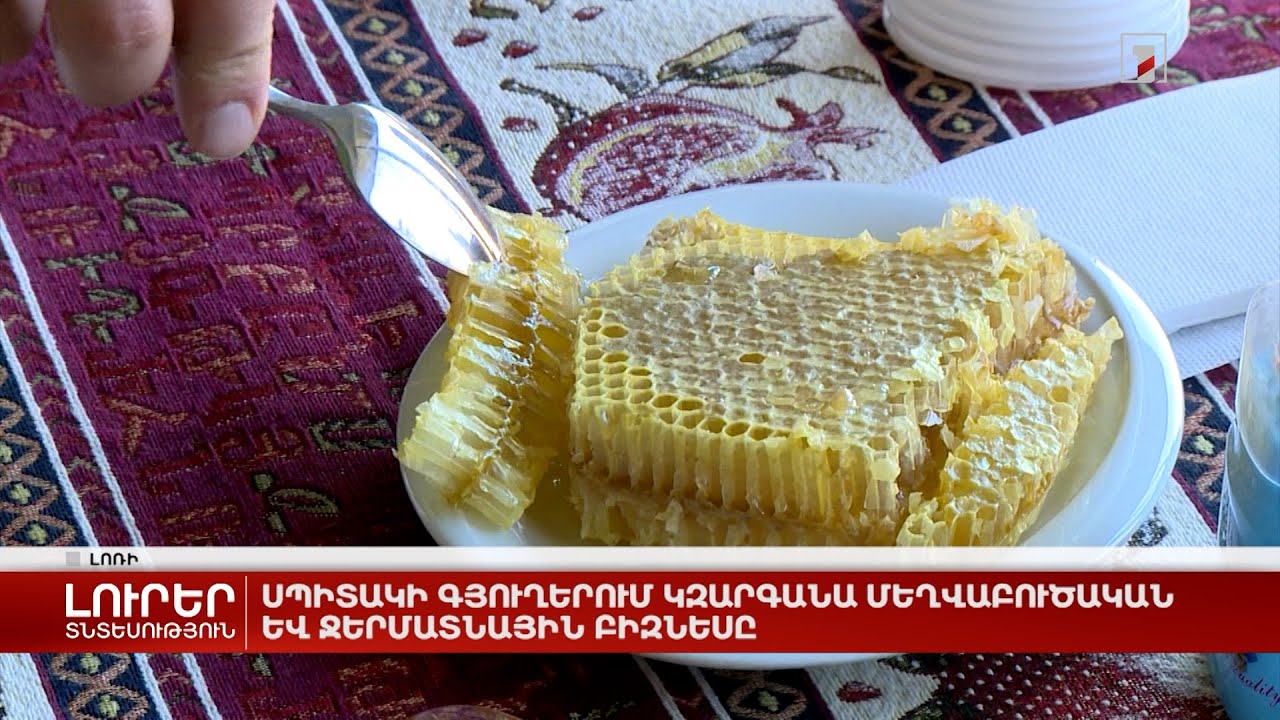 Սպիտակի գյուղերում կզարգանա մեղվաբուծական և ջերմատնային բիզնեսը