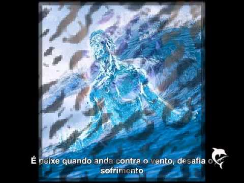 Aos Filhos De Peixes video