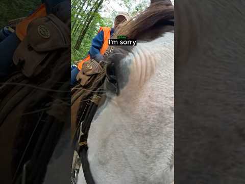 Respectful Biker Lets a Horse Rider Pass...