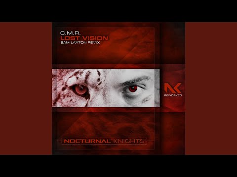 Lost Vision (Sam Laxton Remix)