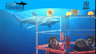 DIA 3 Expo Tiburon198