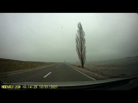 Vărșand - Ineu - Sebiș - Moneasa, Arad, România [DN 79A] [DJ 792B] [2021]