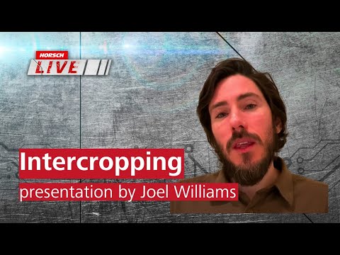 HORSCH Live 2021 - Insights on Intercropping