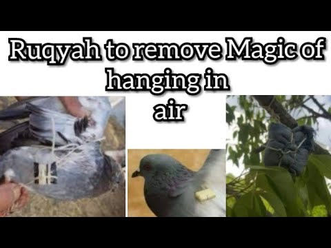 RUQYAH CURE : MAGIC OF AIR / HANGING IN TRESS , HOUSE AND BIRDS.