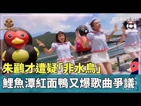 朱鸝才遭疑「非水鳥」　鯉魚潭紅面鴨又爆歌曲爭議