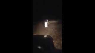 Real ghost running on the forest road