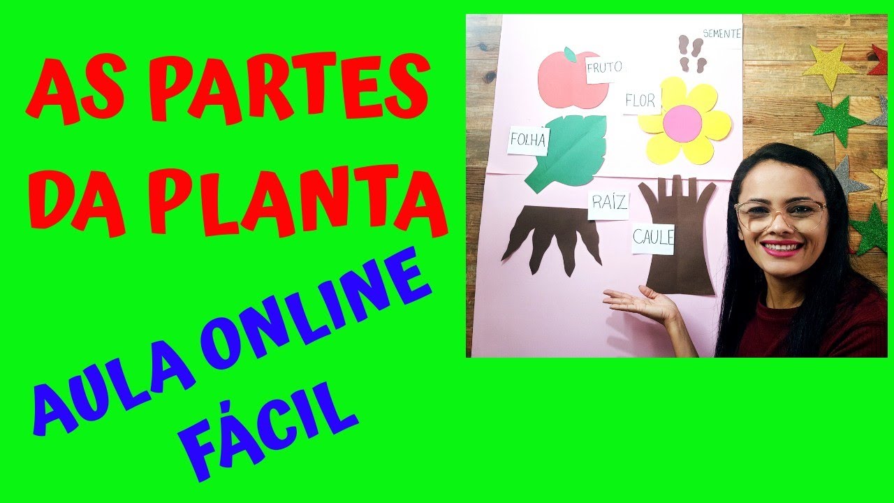 PARTES DA PLANTA- AULA ONLINE FÁCIL PARA CRIANÇAS