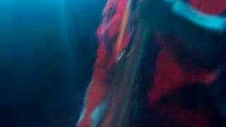 Mika- My Interpretation