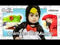 Aventura Con Los Animales Del Mundo Clásicos De Baby Einstein BabyEinsteinenEspanol