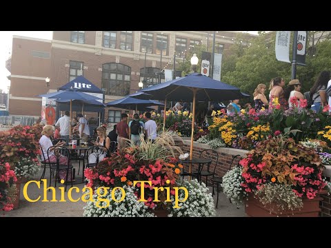 CHICAGO TRIP | Navy Pier, Cloud Gate, Architecture boat tour, Chicago 360 | TRAVEL TRIP