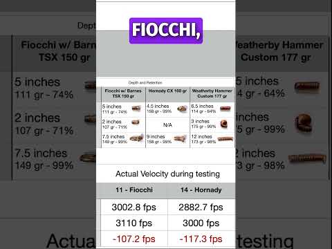 Fiocchi 55gr M193 Ammo Lot Test - From Great to Garbage?