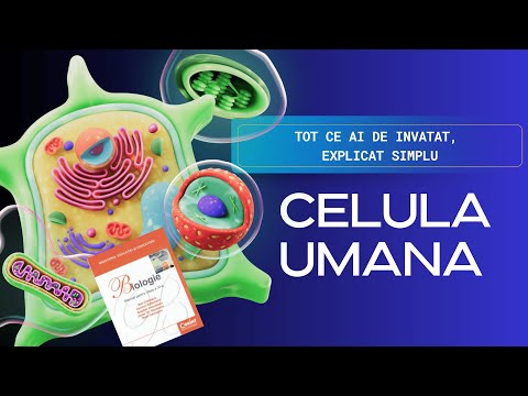 The Human Cell - INTREG chapter for medicine - Membrane, Organelles, Transport, Potential-matter ...