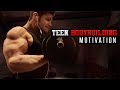 TEEN BODYBUILDING & FITNESS MOTIVATION | Aesthetics