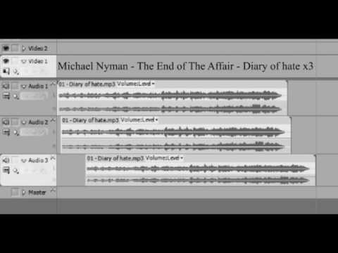 Michael Nyman-Diary of hate x3