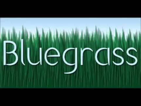 Orange Blossom Special   Lester Flatt & Earl Scruggs