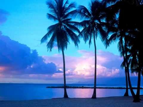 Markus Schulz: GDJB Sunrise Set 2013 (classic trance)