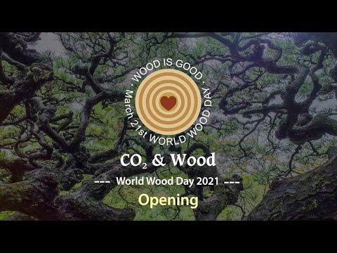 WWD 2021 The Opening