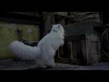 Stuart little 2 funny comedy in hindi_Mr Shankar Kumar Stuart little 2 funny comedy in hindi_Mr Shankar Kumar