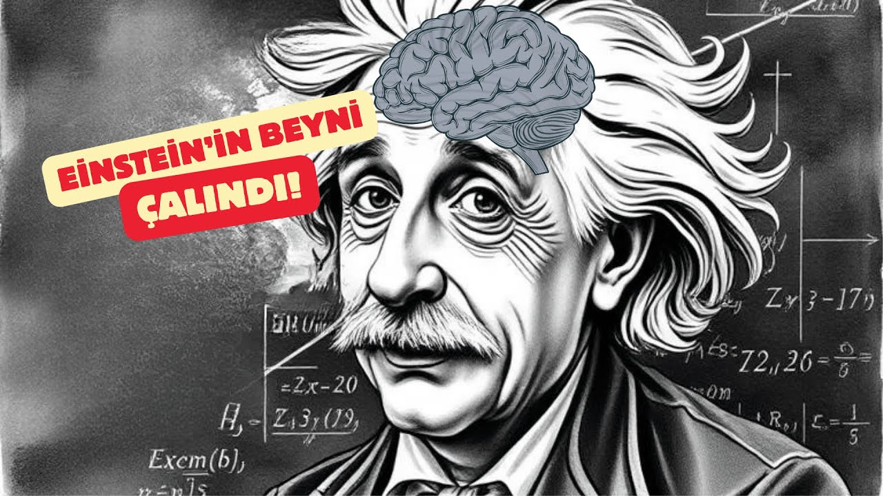 Einstein’ın Beyni Neden Çalındı?