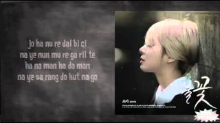 Cho A (AOA) - FLAME lyrics (easy lyrics)