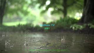 Download lagu Surah Al Insyirah | Muhammad Taha Al Junayd #94 mp3