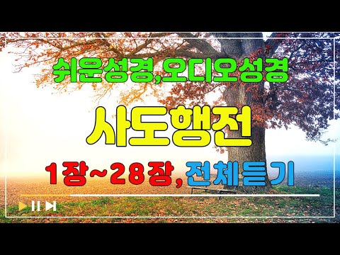 44.사도행전1장~28장,전체듣기,쉬운성경,입체낭독,성경듣기,성경통독,오디오성경