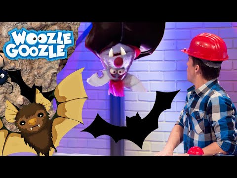 Sind Fledermäuse gefährlich? l WOOZLE GOOZLE