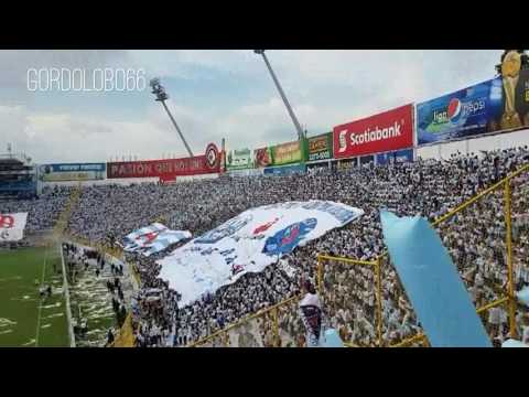 "RECIBIMIENTO ALIANZA FC 2017,  FINAL ALIANZA FC  VS SANTA TECLA 2017 , BARRA BRAVA 96 , ULTRA BLANCA" Barra: La Ultra Blanca y Barra Brava 96 • Club: Alianza