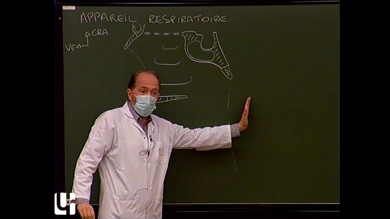 Anatomie générale 5 - Appareil respiratoire [General anatomy of the respiratory system]