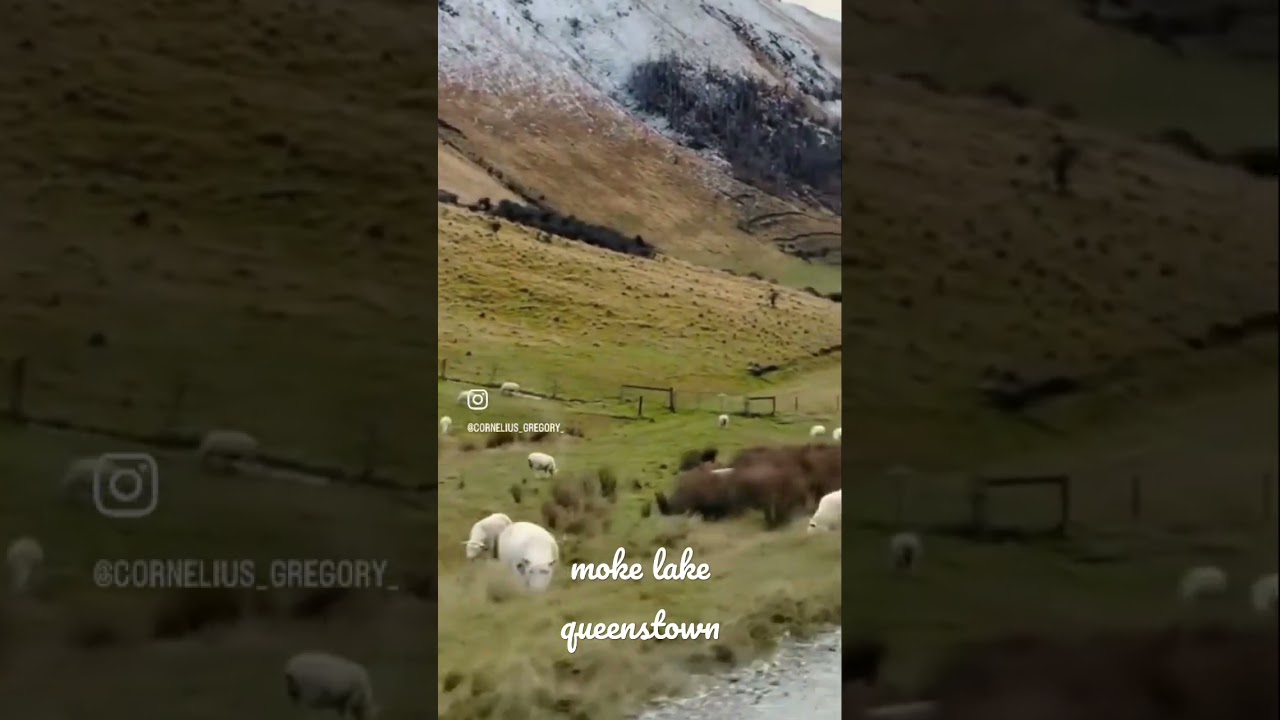 YouTube Short thumbnail