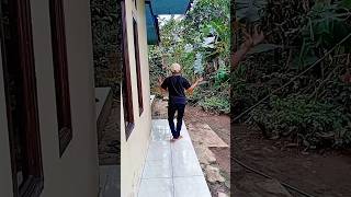 Download lagu sound nya bikin enak goyang😅 #joged #hiburan mp3