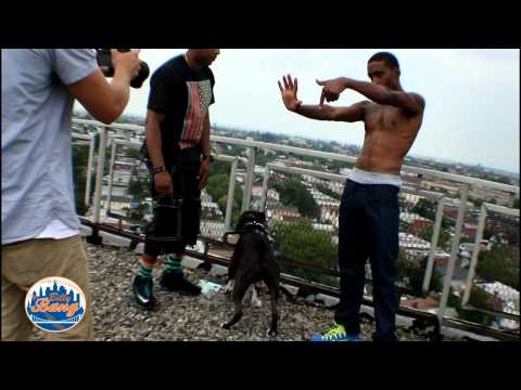 Everlasting Life Cafe