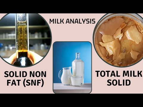 Determination of Total Milk Solid & Solid Non Fat (SNF)_A Complete Procedure (AOAC 990.20 & 990.21)