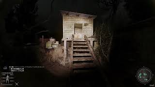 stalker  gamma