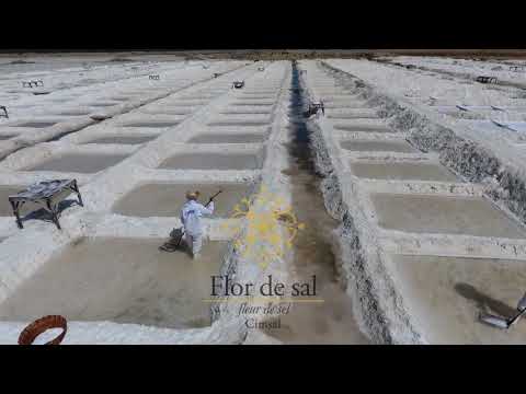Colheita Flor de Sal Cimsal