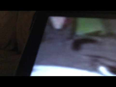 Finding big chungus in fortnite battle royal [INSANE UNSEEN SEASON 8 EVENT]