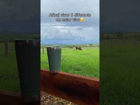 Aproveitando as belezas do meu Mato Grosso DO SUL❤️ Camapuã🫶🏻 #foryou #natureza #fazenda #ms