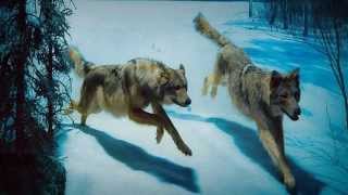 Graveland - Wolf Of The North