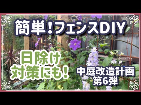 常緑つる性植物:プライバシー保護に優れた4種類 トピックス