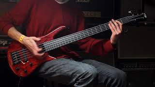 Video thumbnail for Zon Sonus 5 by Guitarbank Moscow