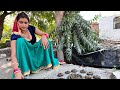 Made For Holika Bidkale Happy Holi Friend Vlog Meenu