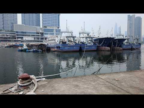 Live: Typhoon Noul makes landfall in China