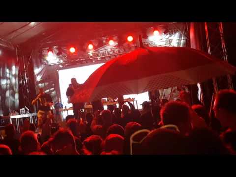 Małach rufuz Polska wersja Ełk 2017 Nie dbam